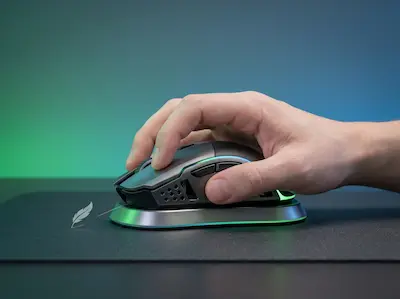 souris légère claw grip